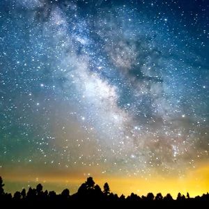 Meet your Posher, Gavkn